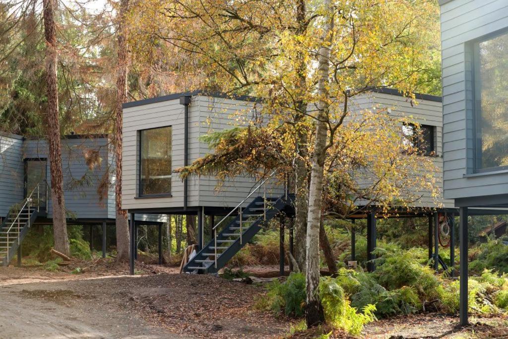 Tierpark Entdeckerhaeuser Wagenfeld Exterior photo